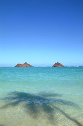 Lanikai Beach & Mokuluas #32323