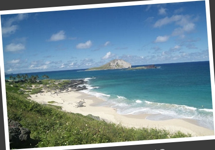 Rabit Island #062