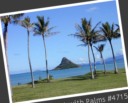 Chinaman's Hat with Palms #4715